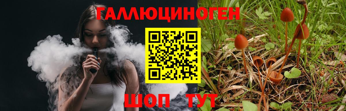 Псилоцибиновые грибы мухоморы  Галлюциногенные грибы прущие грибы  Лесосибирск  Вход с VPN 